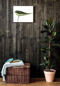 Custom printed leaf art on canvas above a stylish plant and woven basket, enhancing home decor with personalized artistry.