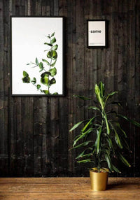 Custom framed botanical art poster displayed in a rustic interior with a potted plant.