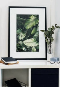 Custom printed matte paper poster featuring lush green palm leaves in a stylish black frame.